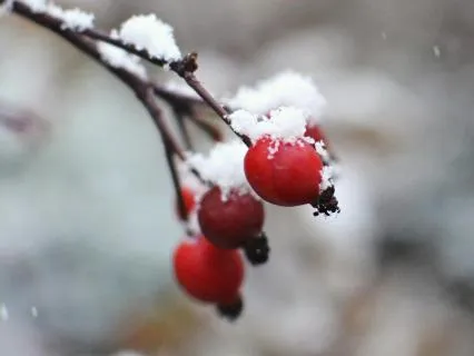 Ancient Stones, Modern Wisdom - Jan 15