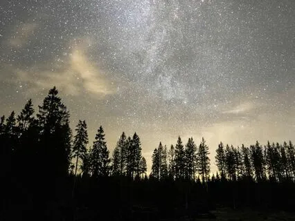 Ancient Whispers - Soulful Echoes Of Wisdom