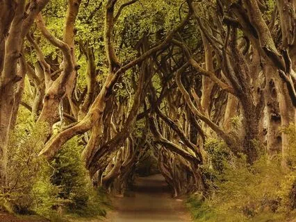 Ancient Wisdom Message Visualization