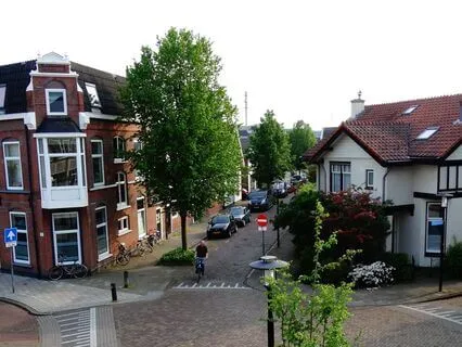 Ancient Wisdom Revisited: Rumi - The Guest House