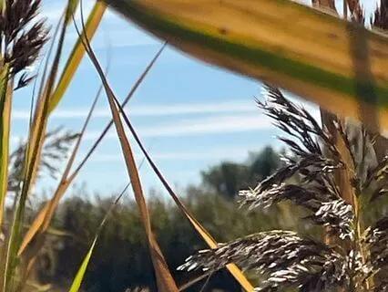 And The Raven Spoke To Me Of Fear