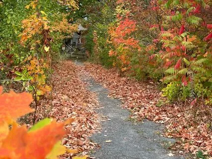 ...And The Raven Spoke To Me Of Joy