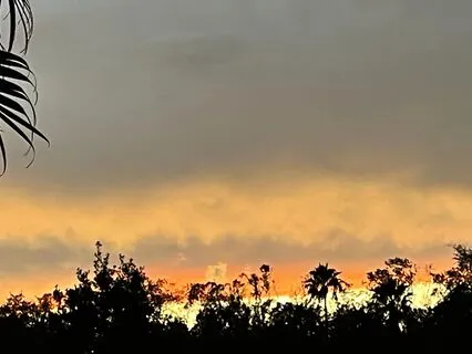 And The Raven Spoke To Me Of Light, Cont'd.