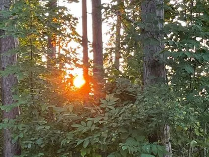 ...And The Raven Spoke To Me Of Light