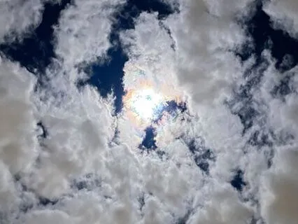 And The Raven Spoke To Me Of Peace