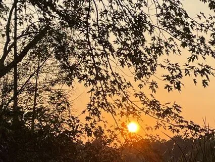 And The Raven Spoke To Me