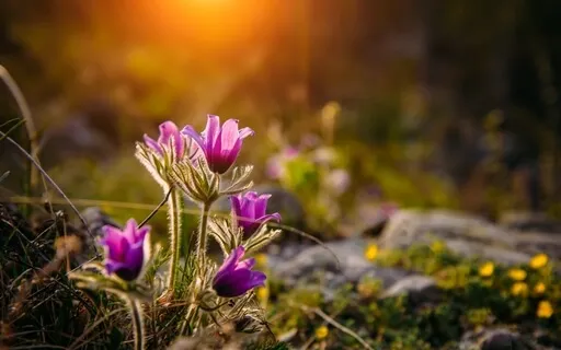 And Then I Found You