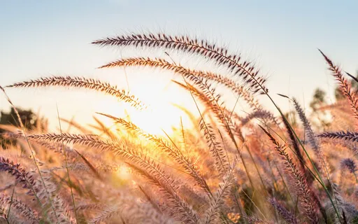 Andas långsamt - 3 min mindfulnessmeditation