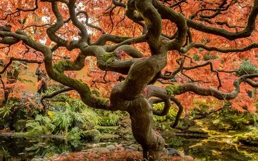 Andas med hela kroppen, jorden & alla varelser