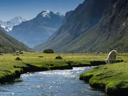 Andes River Stream