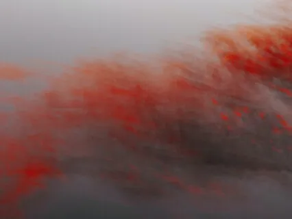 Anecdotes Of The Heart