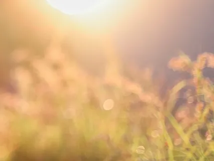 Angel Activation For More Love In Your Life