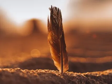 Angel Blessings: Heal And Transform Your Life