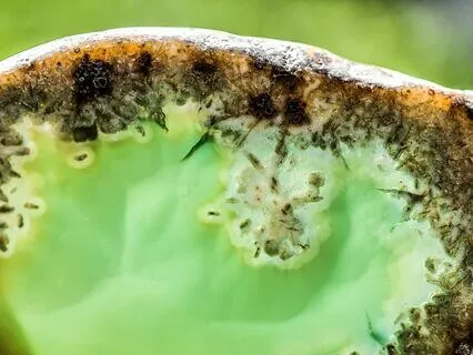 Angel Blessings Sound Transformation