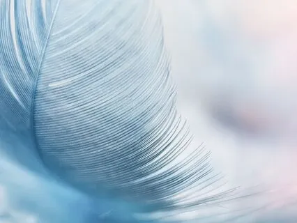 Angel Guidance: Is This Right For Me?