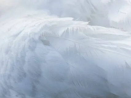 Angel Meditation - Instrumental - Celestial, Cascading Harp