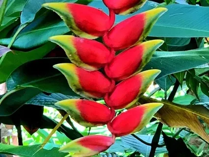 Angel Of The Presence