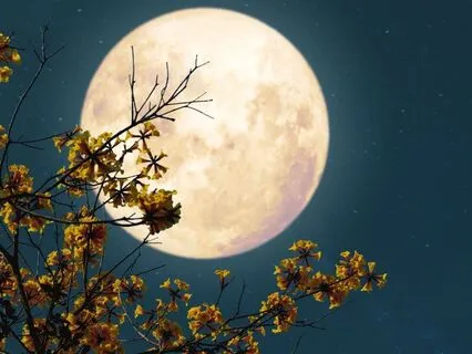 Angel Reiki Full Healing Meditation: Full Moon Release