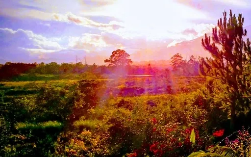 "Angel" - Relaxing, Melodic, Crystal Bowl Sound Meditation