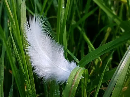 Angel Time For More Energy And Positivity