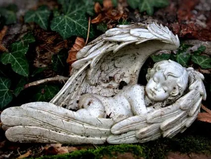 Angel Yoga Nidra
