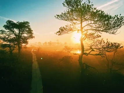 Angel Zadkiel Healing Guided Meditation