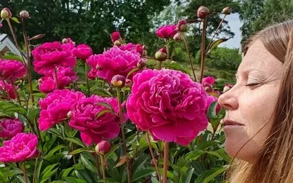 Angelic Audio - till ljusarbetaren