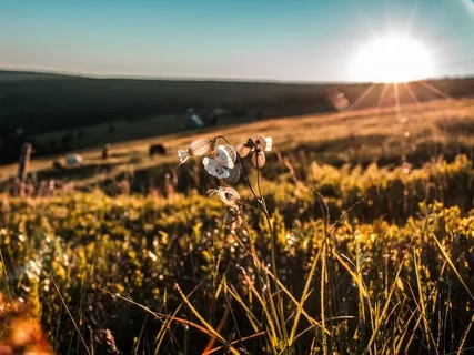 Angelic Connection, Protection & Guidance