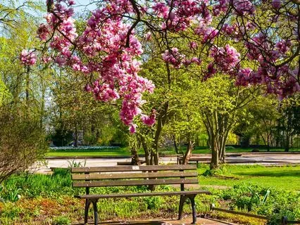 Angelic Guidance A Meditation For Life Choices