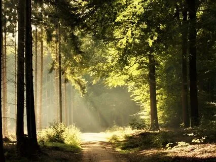 Angelic Healing Music - Energy Cleanse Waves