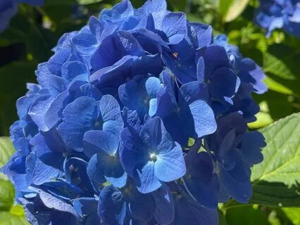 Angelic Support For Anxiety