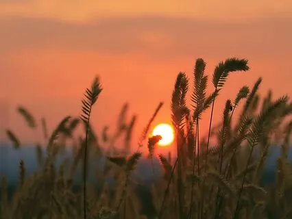 Angelic Voices Sleep Music (Entering The Night)