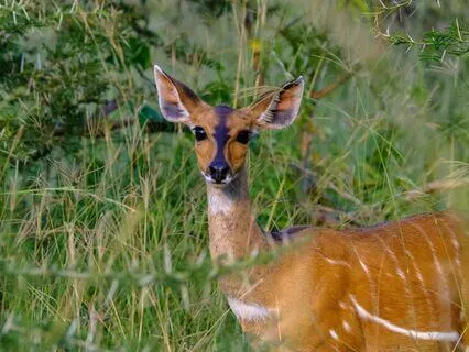 Be In Nature's Grace | Healing Sanctuary | Piano Soundscapes