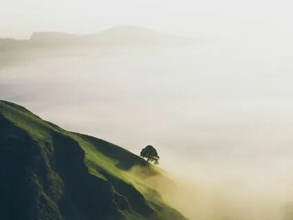 Angels Of Peace - Music For Sleep