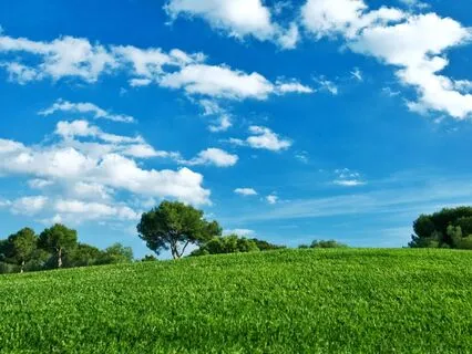 Angels (Acoustic Guitar)