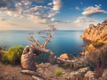 Anger And Intense Emotions Contain A Gift Within Them