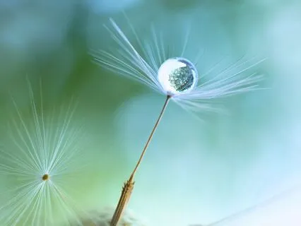 Anger Release Technique To Feel Free