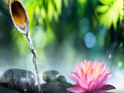 Anikiko - Music Nutrition Sounds Of Ancient Stillness (Volume 10)