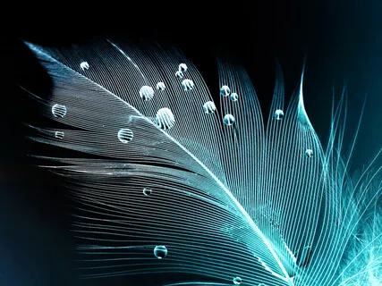 Anikiko: Music Nutrition Sounds Of Source Vol. 1