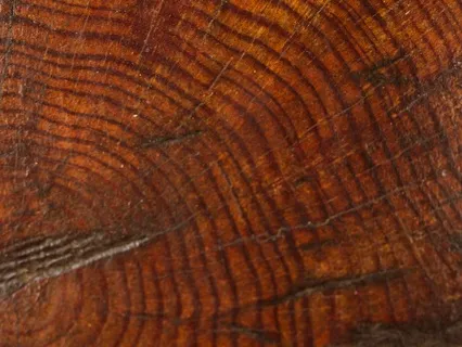 Anima: Guitar Meditation For Encouraging