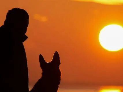 Animal Communication: Hear Your Animal’s Message