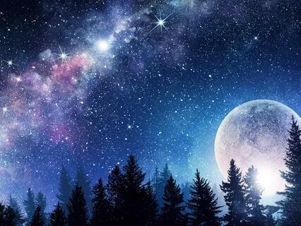 Animal Spirit: Find Yourself Meditations With Julie LeBriton