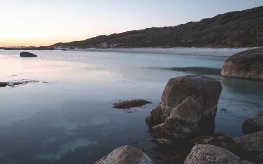 Animal Spirit Guide Journey, Land Or Water