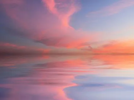 Animal Spirit Guides: A Healing Circle To Come Home