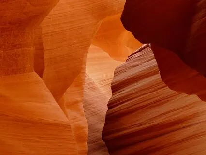 Animal Spirit Journey From Inner Divinity