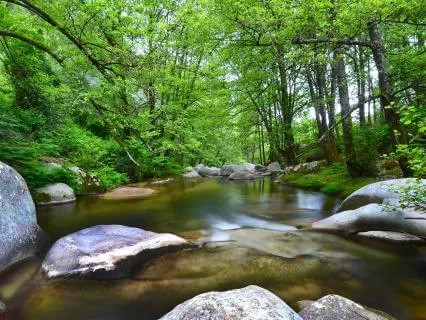 Anitya | Meditation On Impermanence And Peace Of Letting Go