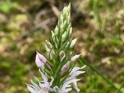 Anna ja vastaanota myötätuntoa 