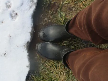 Annamaya Kosha: Nourishment, Earth & Water Elements