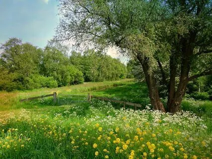 Anne Of Green Gables - Book 1