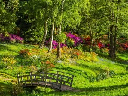 Anne Of Green Gables - Book 2